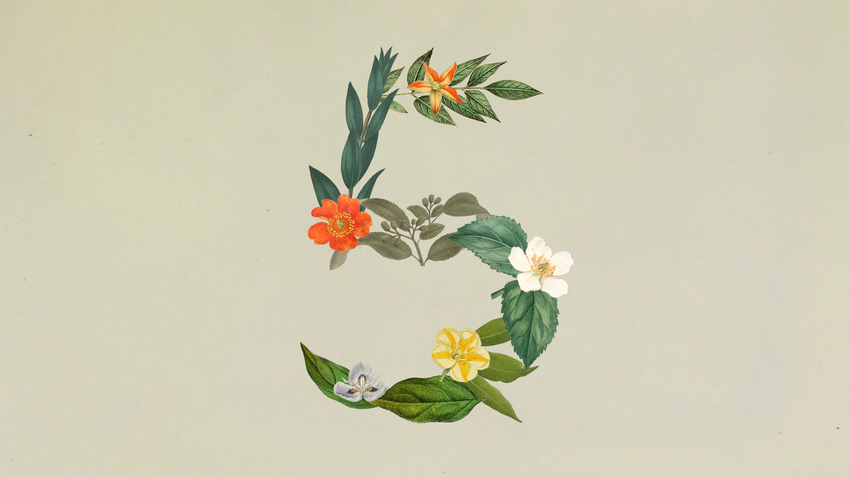 Claude Sonnet 5, 기본 모델이 됐지만 비용은 다시 재야 해